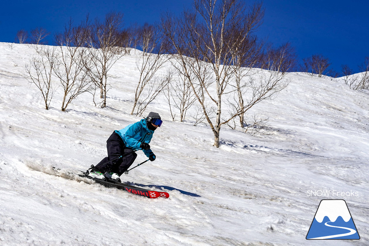 ニセコグラン・ヒラフ DYNASTAR SKI TEST RIDE DAYS Photo Session!!最高の天気に恵まれたニセコに、最高の仲間たちが集まりました☆